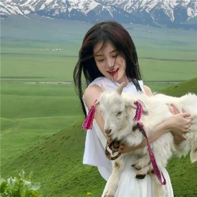 波尼龙的异想世界
